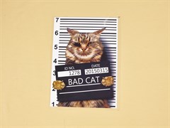 ТТ BAD CAT (24*17см) - фото 20970