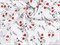 Муслин принт,мелкие  цветы красные - фото 15314