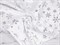 Мех велюр Снежинки варак, цв. белый - фото 17726
