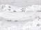 Мех велюр Снежинки варак, цв. белый - фото 17733