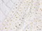 Фатин белый звезды варак - фото 17811