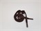 Шнур плоский пэ, наконечники металл, 12мм, цв.шоколад, дл.140см - фото 19449