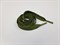 Шнур плоский пэ,с металлическим наконечником ,16мм ,цв.хаки, дл.140см - фото 19522