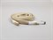 Шнур плоский пэ, со съемным наконечником ,12мм, цв.бежевый, дл.140см - фото 19561