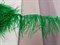 Перья на ленте ,цв. зеленый - фото 20696