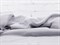 Муслин, цв. серый лед - фото 22406