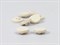 Пуговица акриловая на ножке, цв. кремовый, 15мм - фото 24682