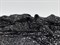 Пайетки на трикотажной основе, цв. серебро на черном фоне - фото 25147