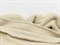 Трикотаж LAMB на флисе, цв. кремовый - фото 25807