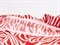 Штапель принт, "Зебра", цв. красный+белый - фото 26084