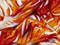 Штапель принт, "Папоротник", цв. оранжевый - фото 26722
