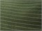 Лен STRIPE, цв. хаки 10006437 - фото 30113